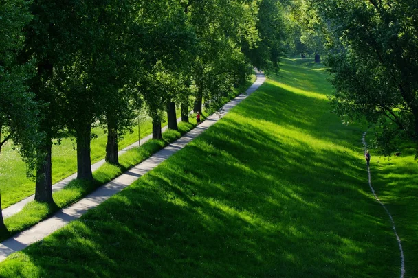 Dies sind die Rheinwiesen in Düsseldorf.